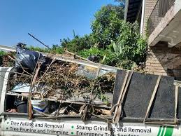 Best Carpet Removal and Disposal  in Hatch, NM